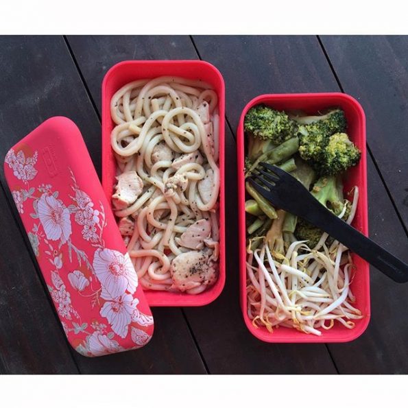 monbento thefitnesstheory