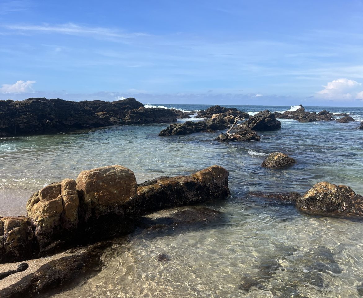 sri lanka plage mirissa activités à faire à voir