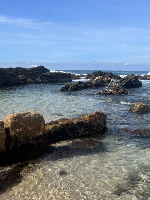 sri lanka plage mirissa activités à faire à voir
